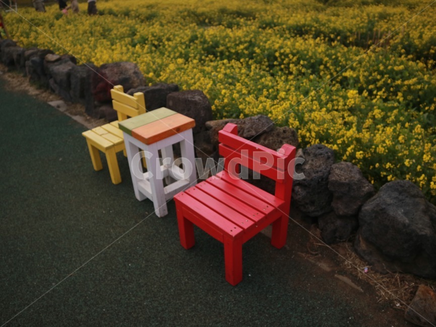 의자,길가,chair,빨간색,red,yellow,꽃