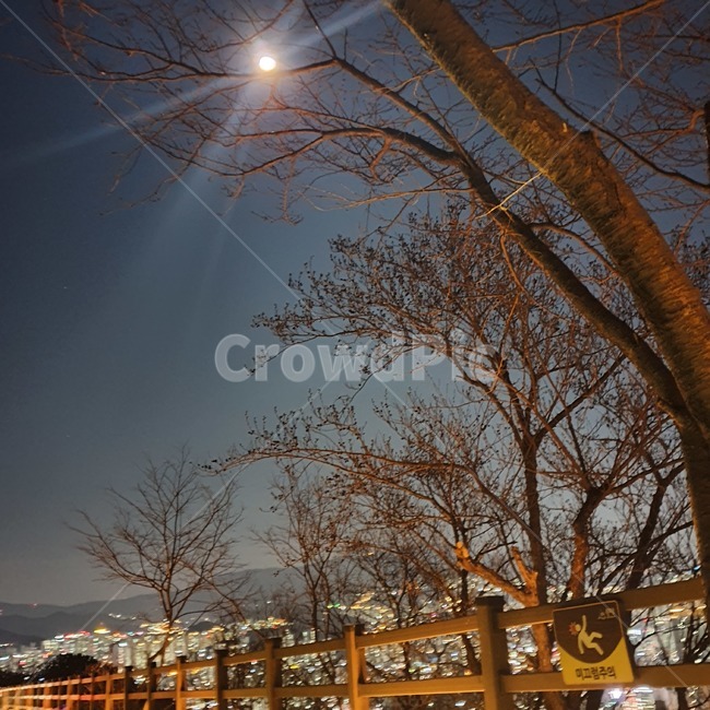 flare,플레어,light,빛,풍경,옥외,자연,경치,야경,달빛,scenery,outdoors,nature,landscape