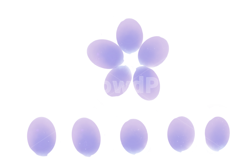 꽃,누끼,봄,생화,스티커,flower,removebackground,누끼,remove background