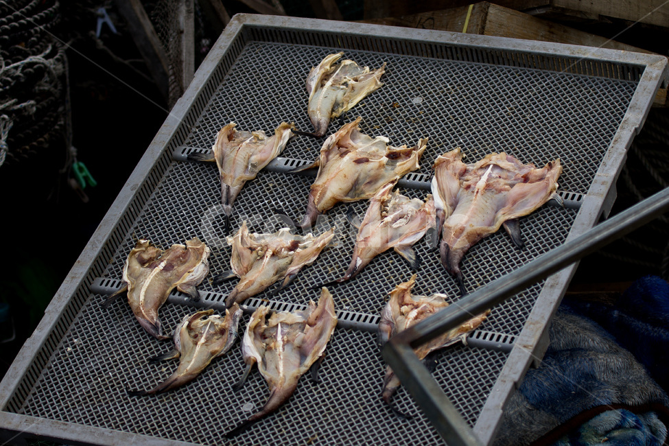 바닷가,어촌,말린생선,건어물,생선,생선건조,한국어촌마을,sea,driedfish,fish,음식,식재료,요리,food,cook,meal,dishes,food reserves