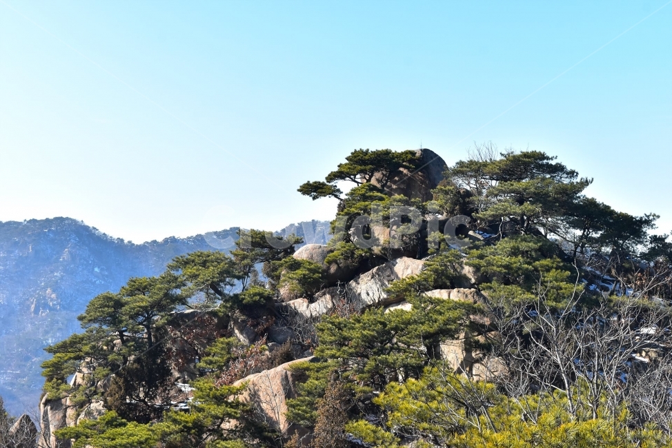 관악산,풍경,겨울,자연,눈,스포츠,등산,산행,nature,snow,겨울풍경,느낌,아름다운,신비로운,경이로운,기암,바위,암봉,암릉,다큐,필,힐링,명산,landscape,winter,season,트레킹,100대명산,인기명산,조망,전망,정부청사,6봉,수목원능선,바윗길,암릉길,명품송,소나무,한국자연풍경,한국자연경관,korea,관양능선,팔봉능선,국기봉,겨울,계절,winter,season,자연,풍경,nature,landscape,한국자연풍경,한국자연경관,korea nature landscape,outdoors,옥외