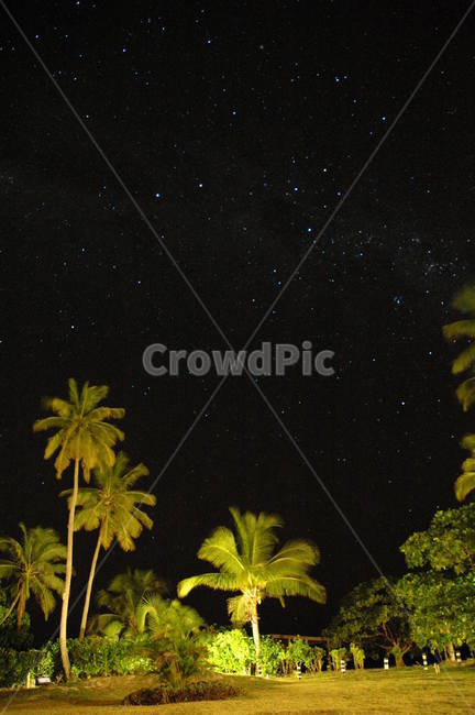 별,밤하늘,피지,감성사진,stars,야경,야자수,fiji,nightview,palmtree,야경,밤,풍경,nightscape,night,landscape,nature,자연,outdoors,옥외