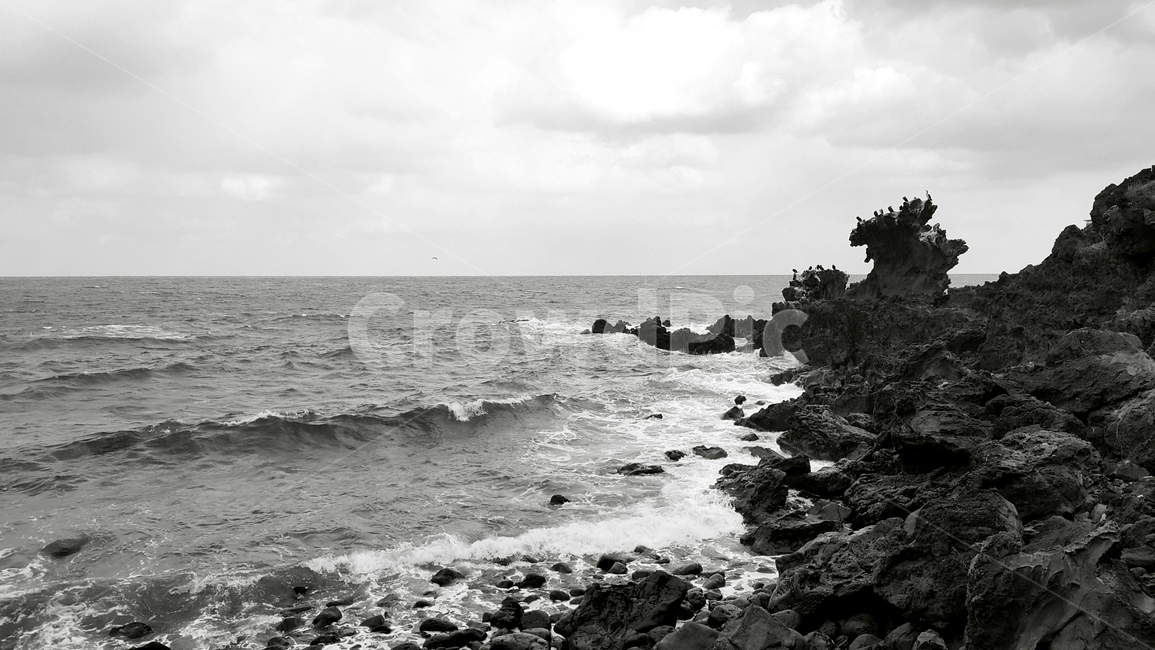 제주도,용두암,바다,풍경,sea,jeju,흑백,모노톤,monochrome,black and white