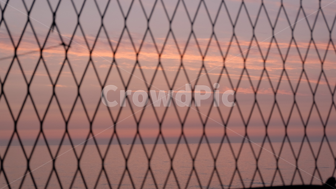 철조망,동해,바다,일출,새벽,sunrise
