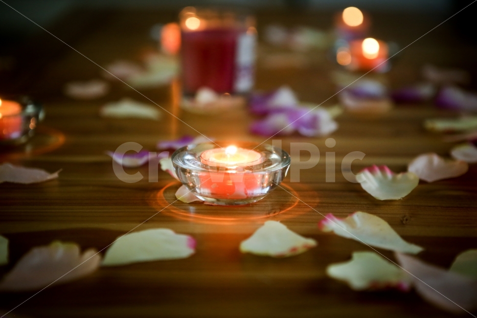 데이트,분위기,촛불,연인,사랑,꽃,꽃잎,불빛,조명,화려함,휴식,힐링,rest,relaxation,healing