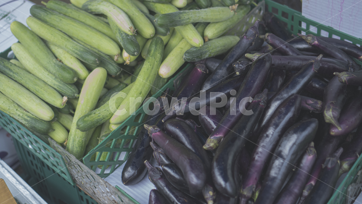 채소,오이,가지,시장,녹색,자주색,plant,식물,식품,푸드,food,시장,마트,마켓,market,mart,market place,채소,야채,vegetables