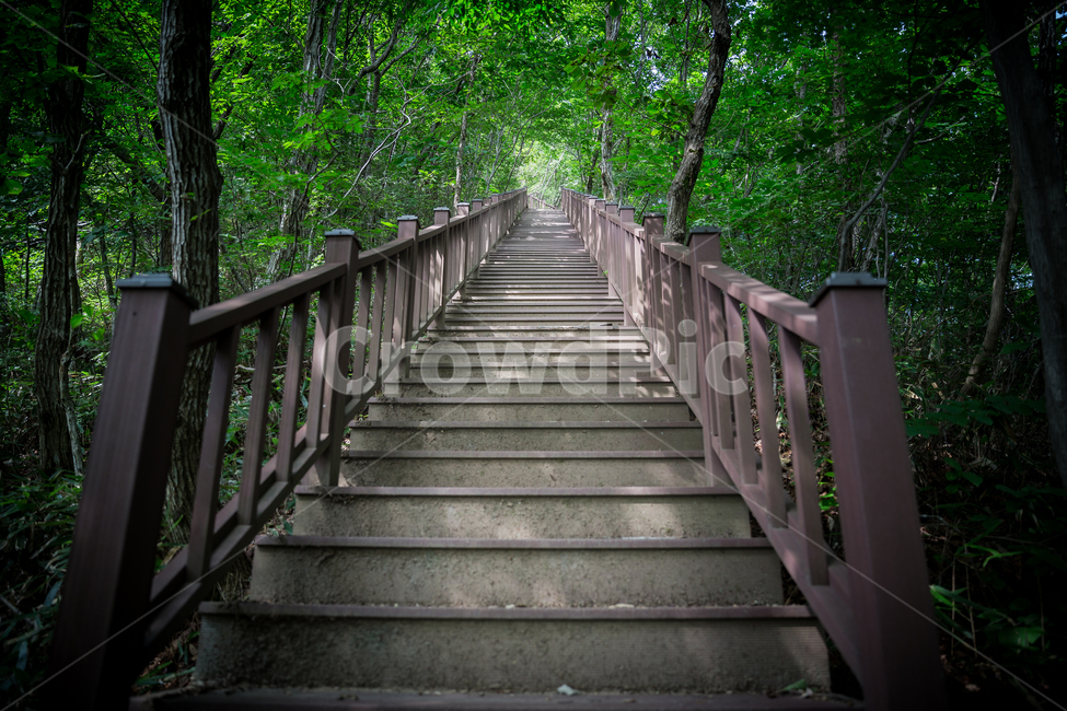 등산,산,추월산,전망대,풍경,전망,계단,자연,풍경,nature,landscape,staircase,계단,garden,정원,outdoors,옥외,arbour,정자,railing,난간,handrail,banister