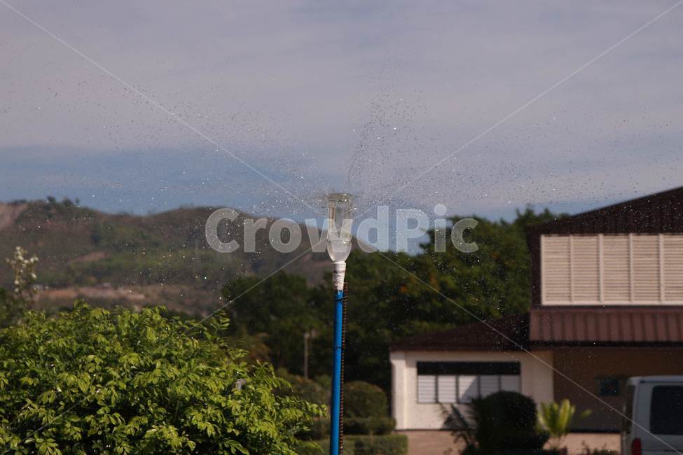 물,분사,식물,밭,농장,농사,water,plant,farm,splash,watering