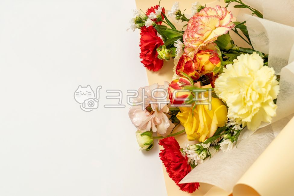 카네이션,어버이날,꽃,꽃다발,flower,flowerarrangement,flowerbouquet,rose,장미,carnation