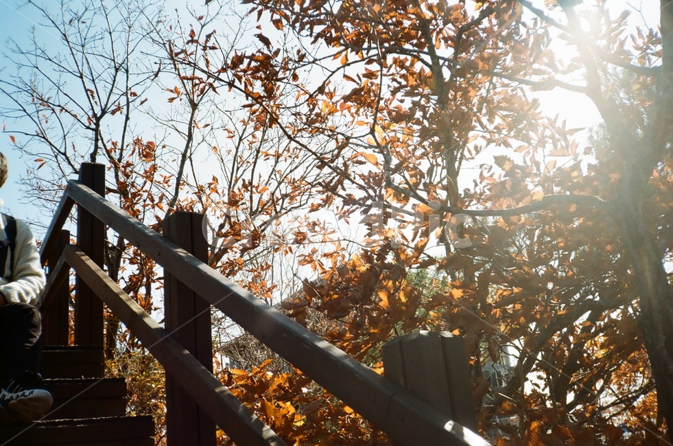 빛,단풍,산,mountain,등산,가을,자연,가을,계절,fall,autumn,season