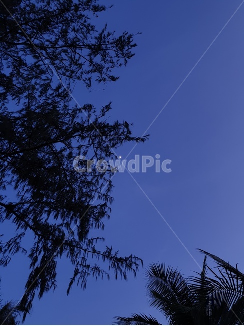 silhouette,실루엣,달,moon,자연,nature,하늘,sky,여유,낭만,풍경,leisure,view,cloud