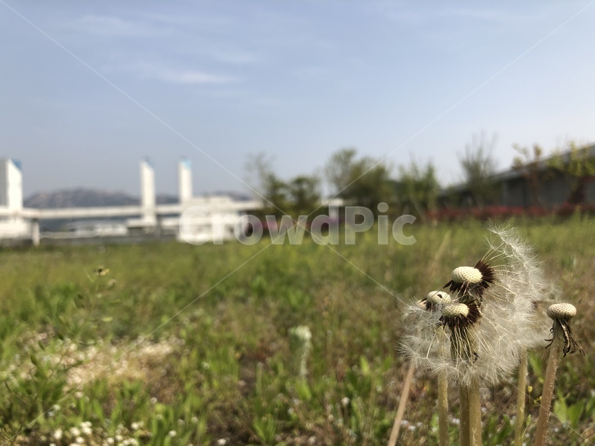 봄,고요함,바람,산책,따듯함
