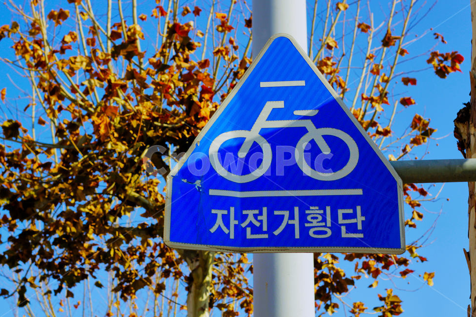 표지판,하늘,나무,symbol,상징,교통,교통수단,traffic,transportation