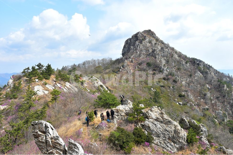 주작산,덕룡산,종주,진달래,풍경,기암,바위,비경,봄풍경,진달래꽃,강진,명산,산행,등산,마운틴,힐링,mountain,landscape,자연,natural,자연,풍경,nature,landscape,한국자연풍경,한국자연경관,korea nature landscape,사람들,대중,군중,other people,crowd,여행,휴가,traveling,vacation,trip,스포츠,레저,운동,sports,leisure,exercise,outdoors,옥외,human,인간,person,사람