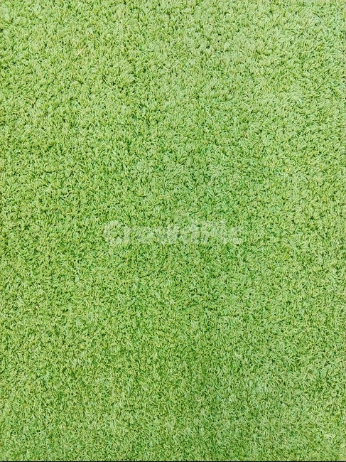 grass,잔디,plant,rug,깔개,인조장디,녹색바닥