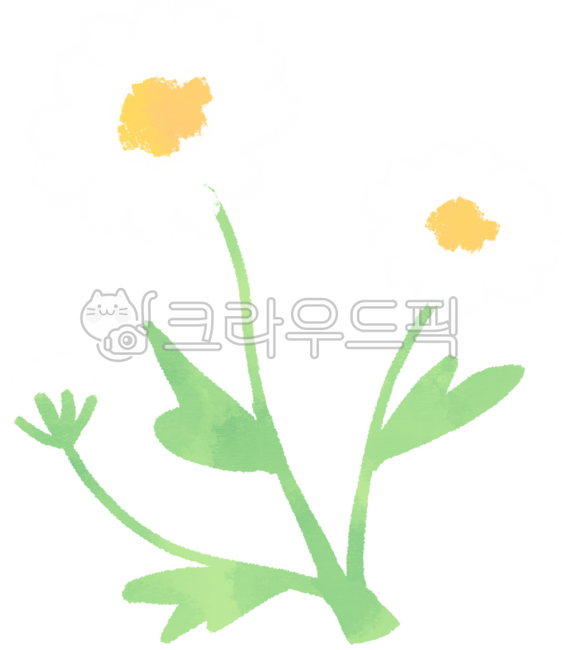 국화,들국화,감국,꽃,데이지,들꽃,봄꽃,민들레,식물,자연,꽃밭,국화꽃,꽃잎,가을꽃,노란꽃,국화그림,가을