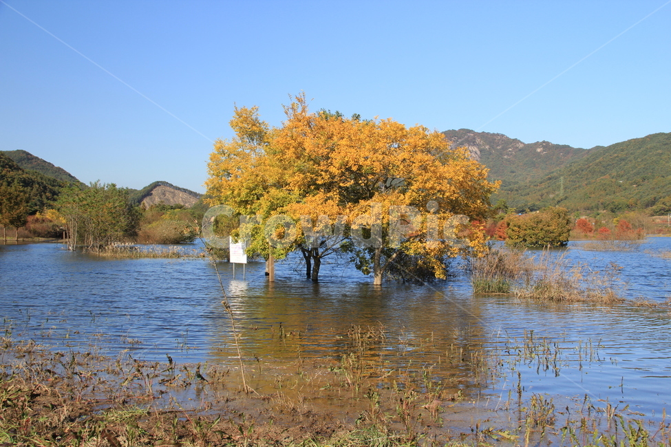 용담호,아름다운곳,가을풍경,nature,tree,자연,풍경,nature,landscape