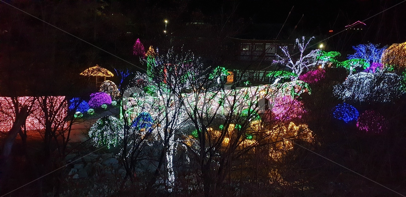 아침고요수목원,야경,수목원,빛축제,가평,야경,밤,풍경,nightscape,night,landscape,축제,행사,festival,carnival,event