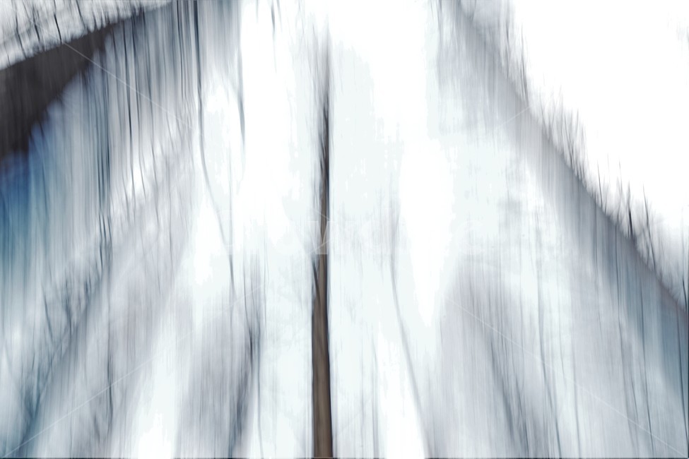 장노출,메타세콰이어숲,나무,자연,환상적,몽환적,배경사진,trees,nature,shutterspeed,longexposure,fantastic,자연,풍경,nature,landscape