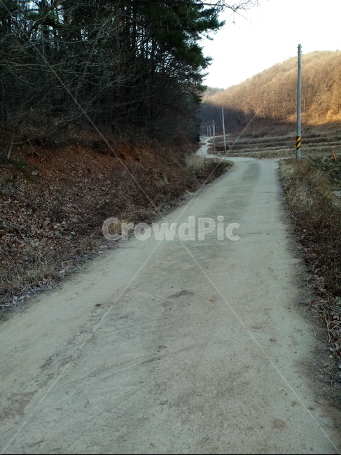 길,도로,산책로,흙길,옥외,자연,path,road,통로
