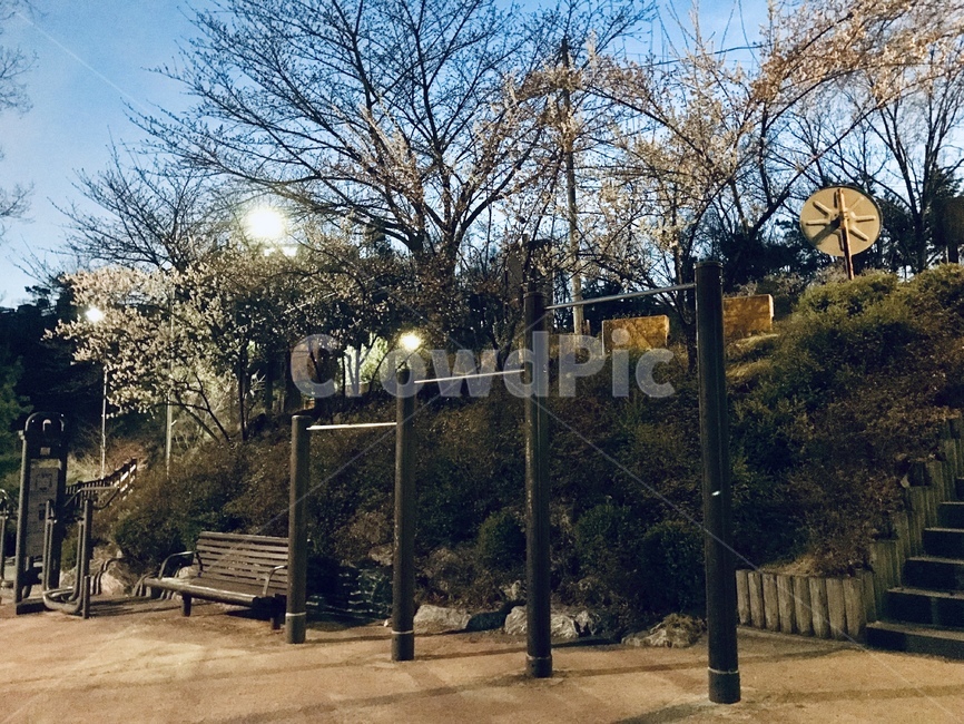 시작,운동,나무,공원,새해,풍경,저녁,야경,밤,풍경,nightscape,night,landscape