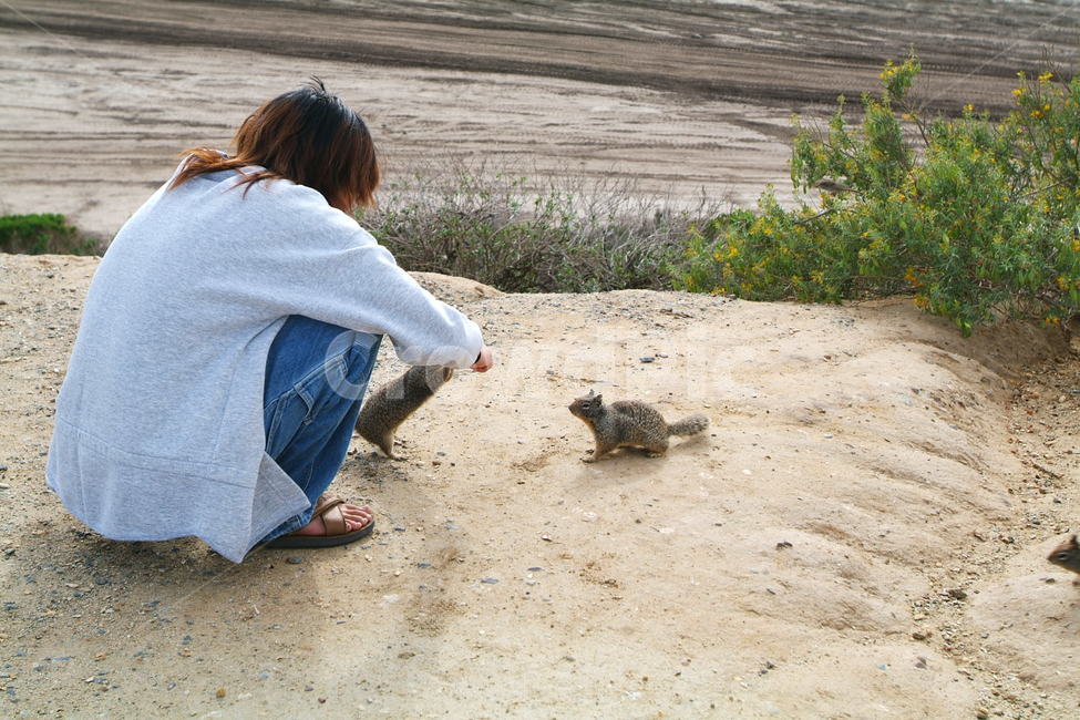 squirrel,다람쥐,땅다람쥐,bro,brother,together,fun,신기,동물,animal,포유류,mammal,사람,인물,인간,human,person,남성,남자,man,male