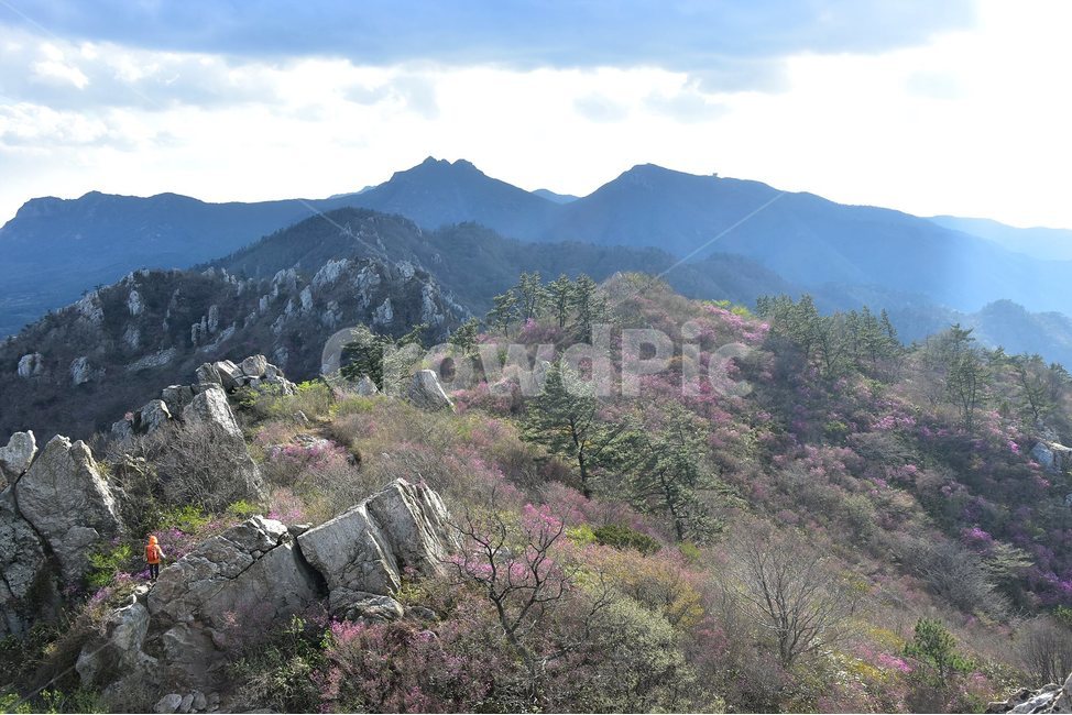 주작산,덕룡산,종주,진달래,풍경,기암,바위,비경,봄풍경,진달래꽃,강진,명산,산행,등산,마운틴,힐링,mountain,landscape,자연,natural,자연,풍경,nature,landscape,한국자연풍경,한국자연경관,korea nature landscape,outdoors,옥외,산,mountain range,산맥