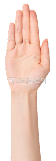누끼,여자손,손누끼,손바닥,손바닥누끼,선서,긍정,손날,손금,팔,손목,하이파이브,인사,연출,표현,인간,human,손가락,finger,hand,remove,arm,body,손모양,인물,몸,손동작,removebackground,제스처,손짓,사람,sign,gesture,emotion,감정표현,person