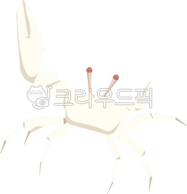 Flower crab,crab,white crab,white crab,crab illustration,sea,seafood,claw crab,white-footed crab,natural monument
