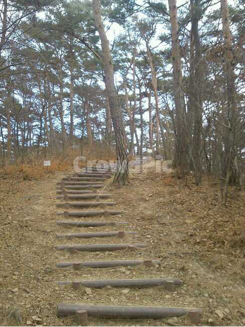 path,통로,ground,바닥,흙길,road,도로,gravel