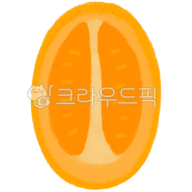 Bbaengkang,bbaengkang illustration,bbaengkang drawing,bbaengkang image,bbaengkang cross section,bbaengkang piece,kumquat,kumquat illustration,kumquat drawing,kumquat image,kumquat cross section,kumquat piece