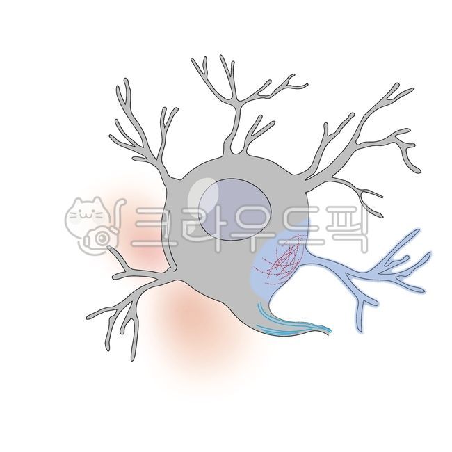 뉴런,뉴런시냅스,신경세포,세포,아이콘,디자인,심벌,cell,nervecell,neuron,논문그림,일러스트,피규어,메디컬일러스트