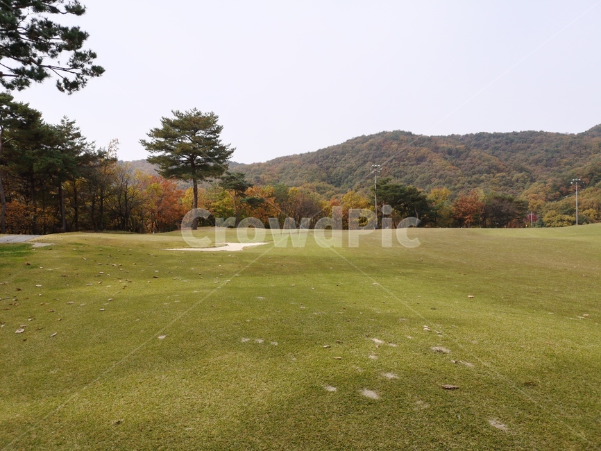 field,들,outdoors,옥외,골프,golf,골프장,가을골프장,자연,가을,단풍,나무,숲,잔디,골프코스,자연,풍경,nature,landscape