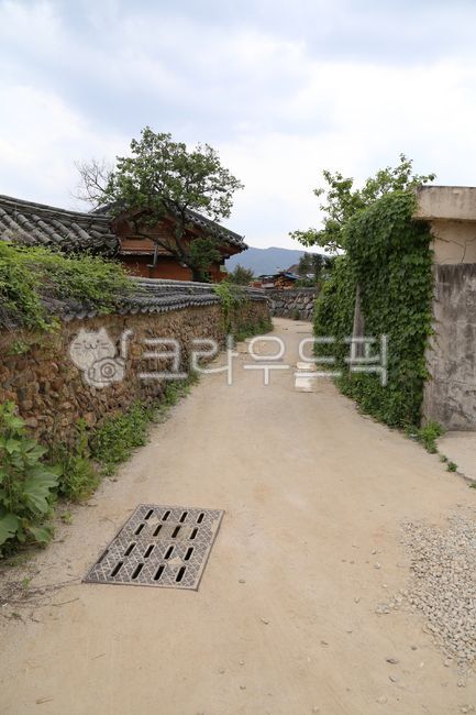 전통가옥,기와집,골목,농촌,돌담,기와,자갈,흙길,traditionalhouse,alley,ruralarea,stonewall,tile,gravel,dirtroad,옥외,outdoors