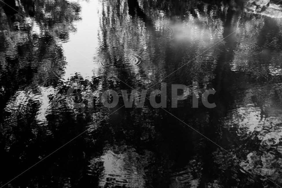 흑백,흑백사진,연못,호수,반영,실루엣,그림자,수면,풍경,풍경사진,blackandwhite,lake,landscape,surface,reflection,reflect,mirror,silhouette,shadow,pond,자연,풍경,nature,landscape,흑백,모노톤,monochrome,black and white