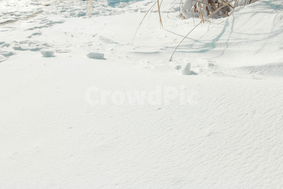 눈,겨울,눈밭,발자국,중산간,겨울,계절,winter,season