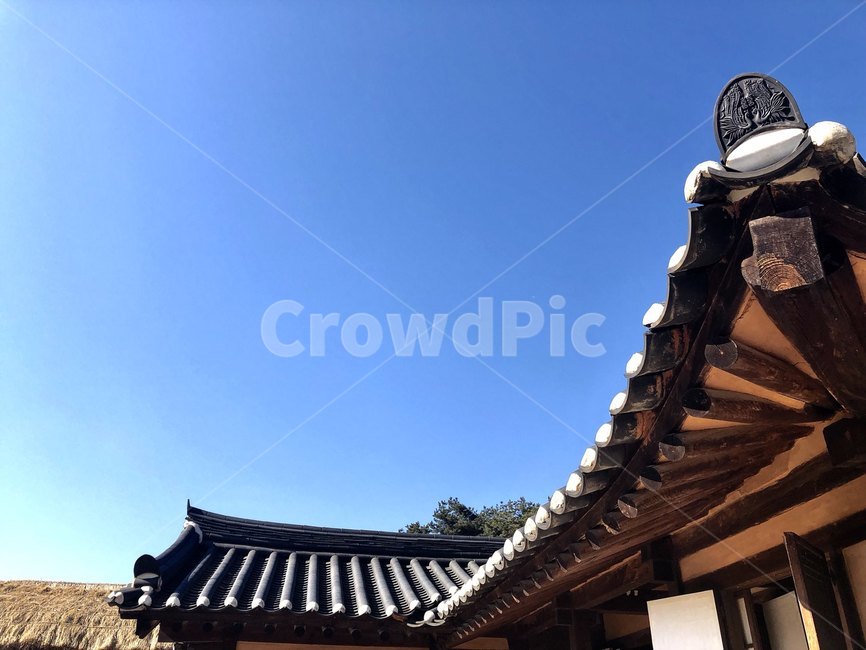 patio,안마당,porch,현관,지붕,한국,korea,기와집,하늘,sky,나무,민속촌,ppt,한국전통,한국문화,korean traditional,korean culture