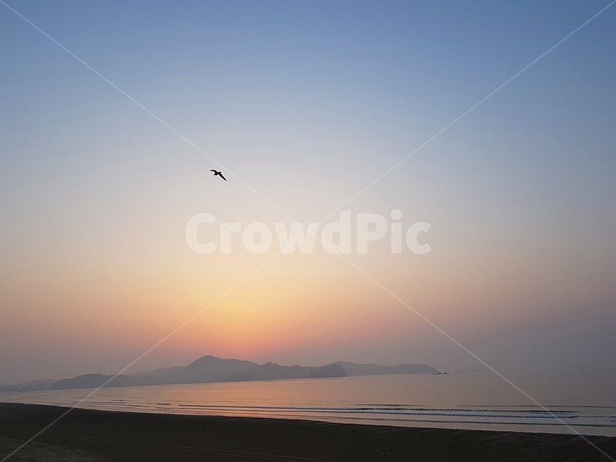 바다,저녁,노을,저녁노을,저녁놀,자연,자연,풍경,nature,landscape,leisure activities,레저 활동,adventure,모험,bird,새,animal,동물,outdoors,옥외