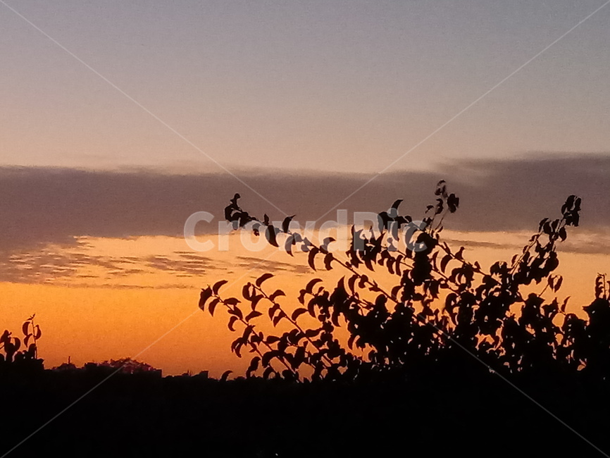 석양,노을,붉은하늘,황혼,일몰,자연,sunset,nature,sunlight,redsky,자연,풍경,nature,landscape,silhouette,실루엣,outdoors,옥외,red sky,붉은 하늘,sky,하늘,dusk,dawn,새벽,햇빛