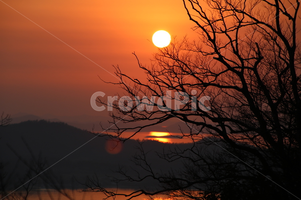 태양,실루엣,노을,역광,나무,자연,풍경,nature,landscape,식물,plants,나무,trees,wood,outdoors,옥외,sky,하늘,dusk,황혼,sunset,일몰,red sky,붉은 하늘,dawn,새벽,sunlight,햇빛