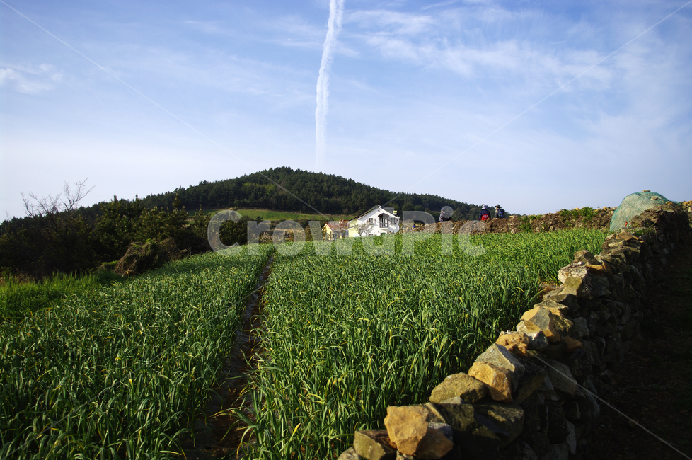 봄,spring,하늘,구름,풍경,마을,산,밭,시골,청산도,자연,풍경,nature,landscape,한국자연풍경,한국자연경관,korea nature landscape,outdoors,옥외,field,들,grassland,목초지