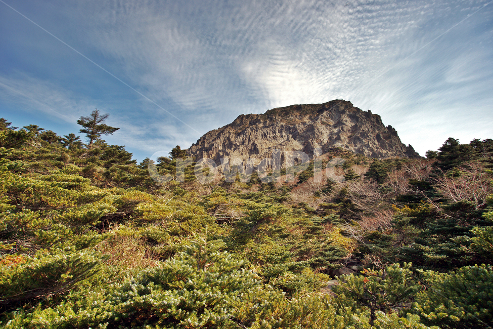 한라산,한라산국립공원,제주도,암벽,돈내코코스,활엽수림,난대성식물,제주도,jeju,jeju island,nature,자연,outdoors,옥외
