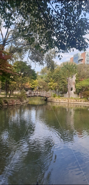 호수,다리,징검다리,물,outdoors,옥외,water