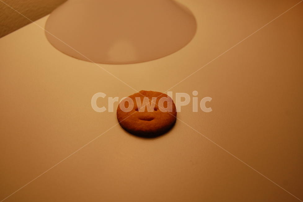 lamp,쿠키,food,램프,biscuit,음식,비스킷,cookie
