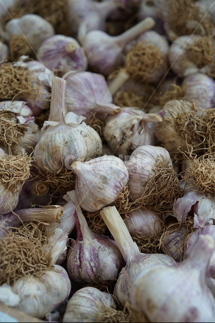 마늘,식재료,갈릭,garlic,통마늘,음식,식재료,요리,food,cook,meal,dishes,food reserves,채소,야채,vegetables