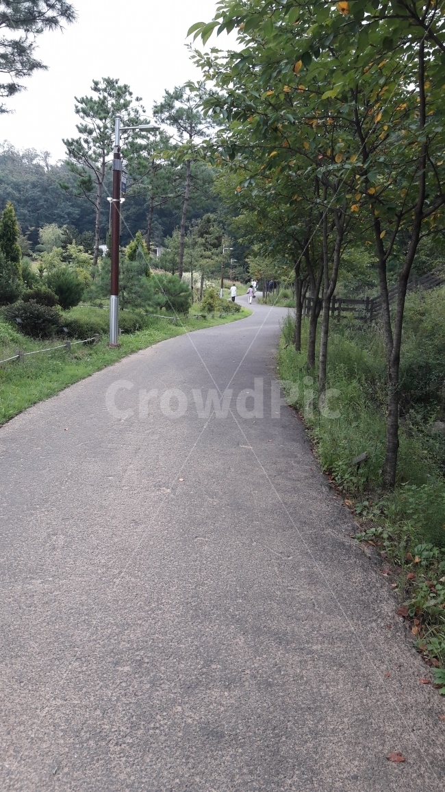 길,나무,가로등,자연,배경,자연,풍경,nature,landscape,asphalt,아스팔트,road,도로