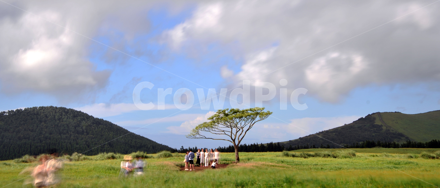 제주도,왕따나무,애월읍,구름,샛별오름,자연,들,자연,풍경,nature,landscape,outdoors,옥외,grassland,목초지,field