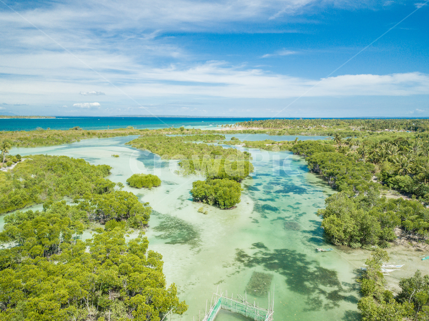 반타얀,자연,휴양,바다,오션뷰,섬,드론뷰,세부,휴가,여름,휴양지,bantayan,nature,vacation,sea,ocean,oceanview,island,drone,droneview,cebu,summer,맹그로브나무,맹그로브숲,mangrovetree,mangroveforest,자연,풍경,nature,landscape,해외,외국,세계,foreign,oversea,world,세계자연풍경,해외자연풍경,외국자연풍경,world nature landscape,outdoors,옥외,land,땅,vegetation,초목,plant,식물,water,물,rainforest,열대 우림,tree,나무