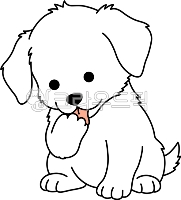 발사탕,강아지발사탕,강아지,핥기,반려견,반려동물,애완동물,개,발바닥,개발바닥,동물병원