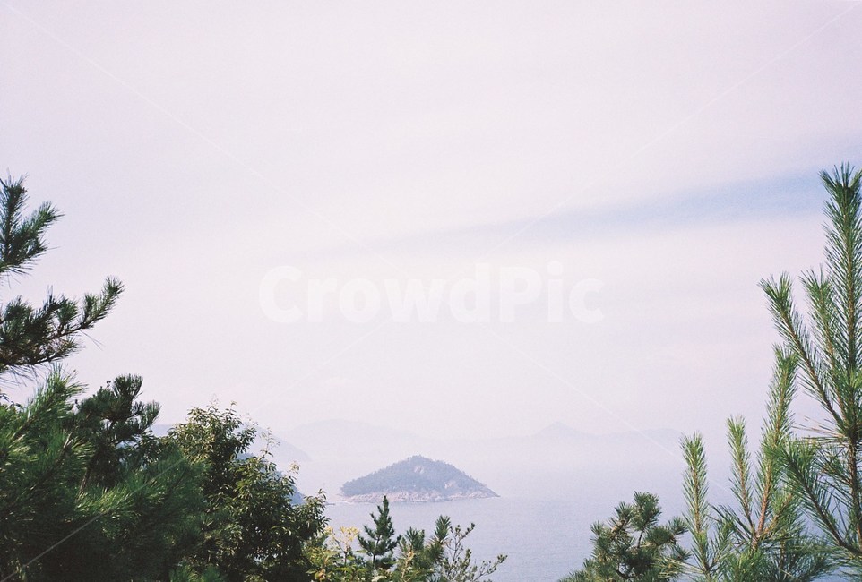 필름,필름사진,film,바다,sea,자연,nature,섬,island,나무,식물,자연,plants,nature,나무,trees,wood